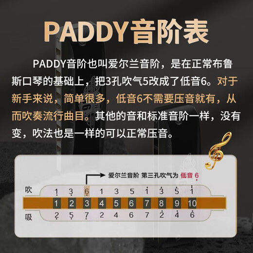 BoogieMAN【园园同款】66号公路布鲁斯paddy十孔口琴成人儿童初学者C调口琴