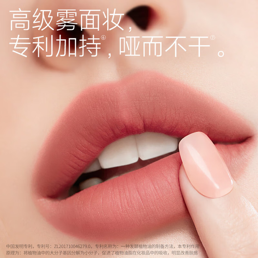卡姿兰（Carslan）口红哑光雾面不掉色不沾杯显白学生党素颜七夕礼物 829V 3.20g（唇釉+折叠镜）