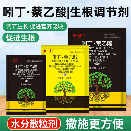 Indolinacetic acid powerful rooting powder, special growth regulator for tree seedlings transplanting and cuttings, Ruibang rooting powder 1000g*1 pack