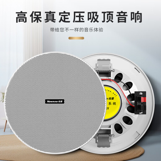纽曼（Newmine）R20 吸顶音响套装蓝牙定压功放机公共广播家用客厅商用会议店铺背景喇叭嵌入式隐藏吊顶音箱一拖四