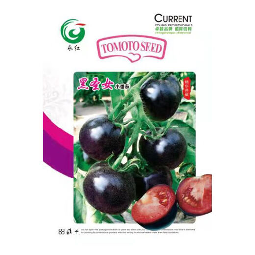 Black Pearl Cherry Tomato Seeds Four Seasons Balcony Potted Plants Easy to Grow Black Gem Tomato Fruit Type Vegetable Seeds Black Pearl Little Saint Tomato Seeds Original Pack About 106 + Song Fertilizer