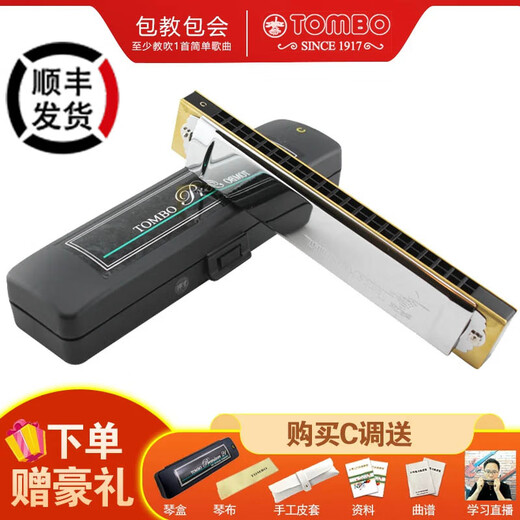 通宝（TOMBO） 日本原装进口21孔复音口琴3521演奏级专业款成人表演录音送人 21孔E调