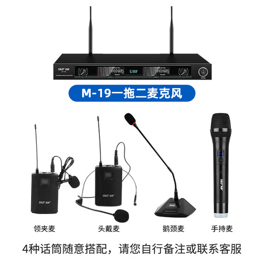先科会议室音响设备全套装组合家庭影院KTV音乐学校培训专用系统蓝牙功放麦克风一体机壁挂舞台音箱K5V 【四8吋音响套装】两话筒（120-240平）
