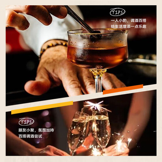 派斯顿白俄罗斯原瓶进口金酒45°烈酒洋酒小鸟瓦赛宁 端午节送礼 500mL 1瓶