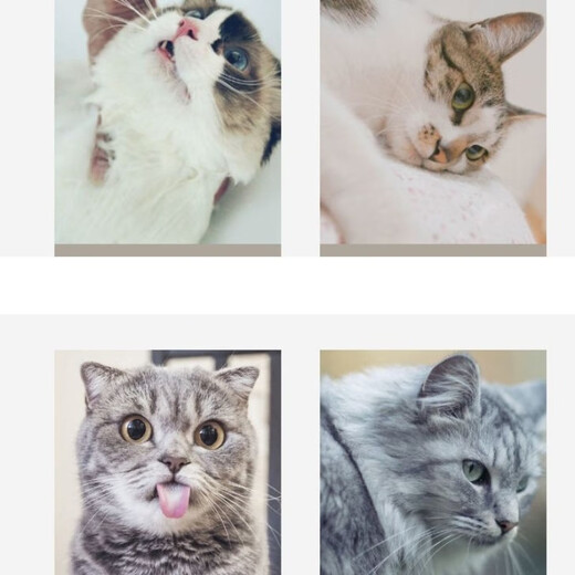 Cat gloves, cat comb to remove floating hair, dog hair comb, cat supplies, pet shedding, cat hair cleaner, hair removal, pink model 1 pair