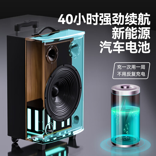 Xinke square dance audio high-power heavy bass mobile home outdoor karaoke Bluetooth trolley portable speaker amplifier with wireless microphone 20-inch combination three-way + wooden box + 12-inch bass