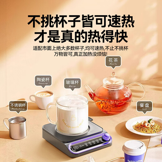 Albasha Hot Selling 20W+ Heated Coaster Constant Temperature Coaster Heated Water Cup Hot Milk Artifact Adjustable Temperature Health Cup Heated Insulation Base Office Birthday Gift for Girls Starry Sky Gray-Flagship Edition Timable丨5 Temperature Control丨No Cup Picking 0L