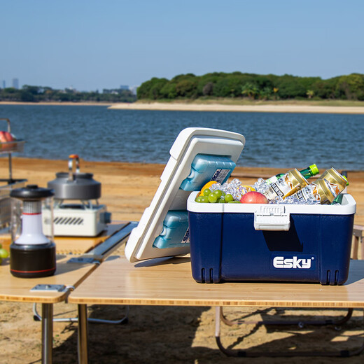 Eski insulated box car refrigerator large capacity refrigerated box outdoor camping picnic breast milk food stall portable foam box 12L high quality with ice bricks*2