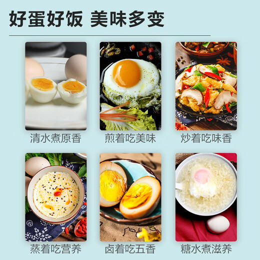 Local eggs, grain-fed, farm-raised fresh eggs, about 40g, breakfast Jingdong fresh soft-boiled eggs, 4 pieces 40-50 Local eggs, grain-fed, farm-raised fresh eggs, about 40g, breakfast Jingdong fresh soft-boiled eggs, 4 pieces 40-50