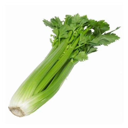 Store hot-selling green stem lambada fruit celery seedlings spring and autumn four seasons balcony potted small red parsley root green stem lambada fruit celery seedlings 40 + 10 trees