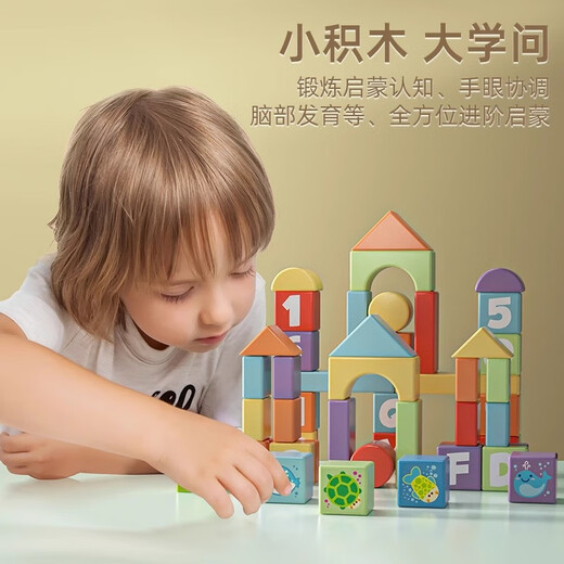 木玩世家木制积木拼装大颗粒益智宝宝婴儿童早教女男孩桶玩具1-2-3岁6礼物 100粒海洋积木送收纳桶