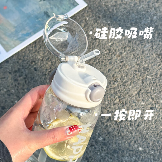 New Spring Simple Straw Plastic Cup High-Looking Student Water Cup Portable Sports Cup Large Capacity Line Gray 550ml Single Cup