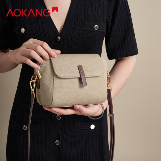 奥康（Aokang）包包女包2025新款轻奢简约时尚百搭斜跨单肩包生日礼物送老婆 大象灰
