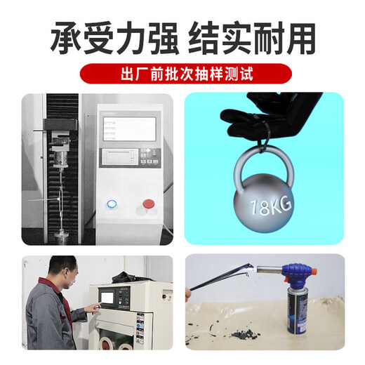 HAILE海乐尼龙扎带 多功能扎线带束线带 自锁式阻燃扎带 3.6*200mm 黑色500根ZD-20H-500