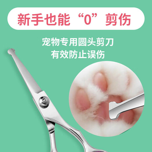 Tongrubi pet butt shearing scissors, dog shearing tool, cat hair shaving tool, 4.5 inch (foot hair trimming, butt hair trimming)