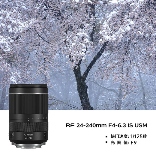 Canon r5 professional mirrorless camera, bird shooting equipment, digital camera, eos r5 full frame Vlog camera, 8K video shooting, place an order for Labubu & Jindou R5 disassembled body + RF24-105 IS USM set, package four, order package 4, free upgrade package, 5 accessory upgrades at no additional price