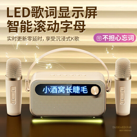 Wanhuo Children's Karaoke Microphone and Audio Integrated Family KTV Audio Set Artefact avec microphone petit haut-parleur karaoké ménage tout-en-un portable en extérieur portable Bluetooth
