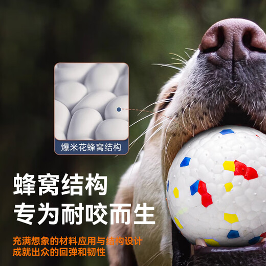 Zhenyou Pet Dog Toy Bouncy Ball Solid Bite-Resistant Dog Training Artifact Large, Medium and Small Teddy Unbreakable Puppy Toy 6.5cm