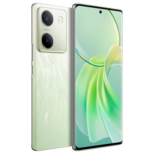 vivo Y100 超薄5000mAh电池 6400万OIS光学防抖 44W超快闪充 5G智能拍照手机 琉云青丨Y100（骁龙695） 12GB+256GB