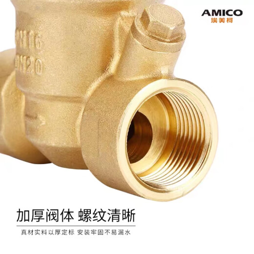 埃美柯（AMICO）719黄铜过滤可调减压阀Y12X-16T家用自来水调压降压稳压阀 DN15 (4分)