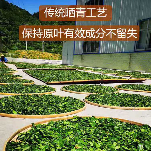 江西修水野生正宗青钱柳原叶茶控糖清钱柳金钱柳中草药材养生茶叶 500年古树青钱柳叶500克 正宗野生修水青钱柳原叶