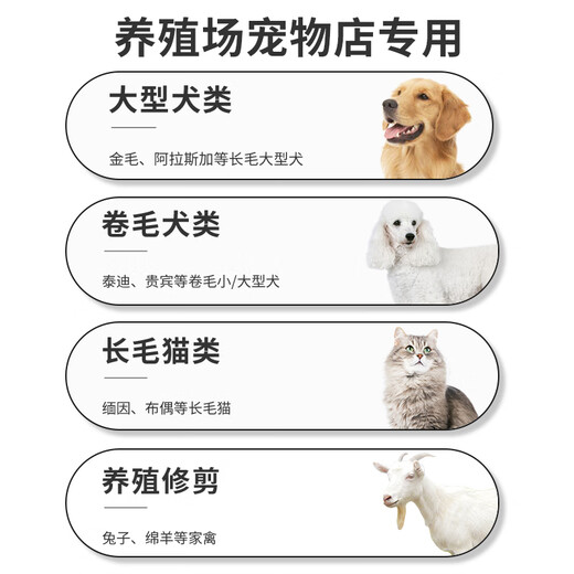Golden Pet Shi Dog Electric Clipper Pet Shaver Hair Clipper Electric Clipper Shaver Pet Supplies Rechargeable Silver Metal Model