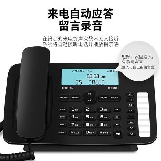 Philips (PHILIPS) voice recorder fixed landline office home automatic manual recording 1000 hours call recording body 35 degree tilt CORD385 black