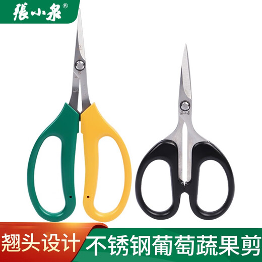 Zhang Xiaoquan's upturned grape fruit branch pruning scissors, fruit thinning, fruit pruning, pepper fruit and vegetable scissors, loquat picking, sunshine roses, Zhang Xiaoquan FL-19 two-color