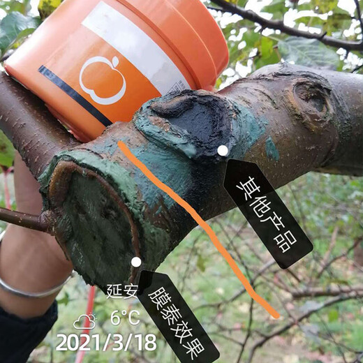 Guoguang Film Taida Tree Bonsai Fruit Tree Wound Smear Healing Agent Grafting Rot Healing Sealing Cream 500g