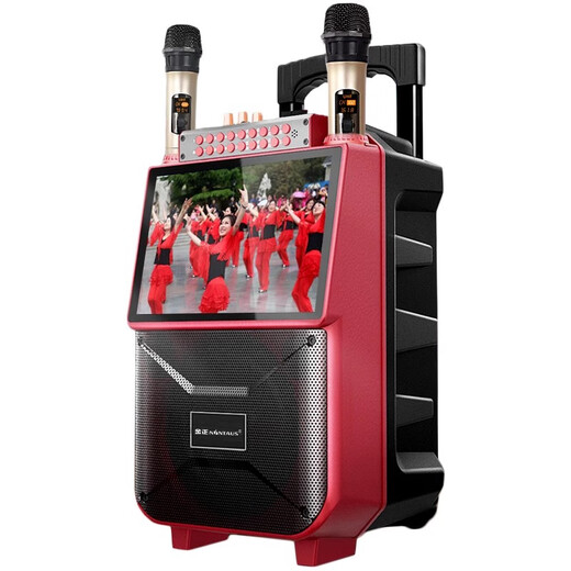 Jinzheng square dance audio with display screen wireless microphone Bluetooth home ktv singing karaoke karaoke machine integrated video outdoor trolley speaker outdoor audio 1033 21# Bluetooth version + single microphone