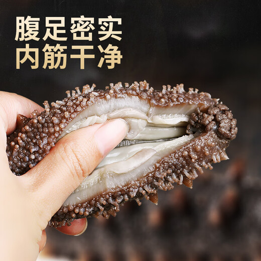 缤鲜 即食海参 免泡发海参大连瓦房店鲜活刺参新鲜净500g 7年海参送礼 开袋即食海参【20-40只/斤】 2斤装