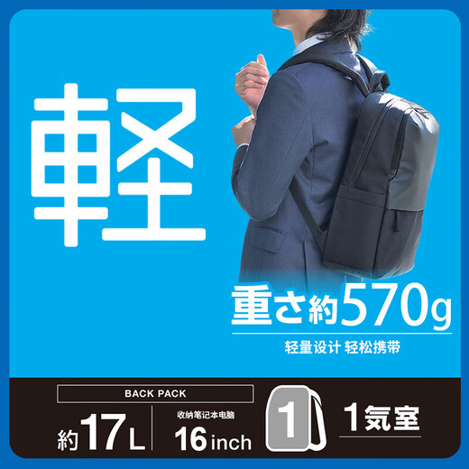 宜丽客（ELECOM）轻型商务双肩包电脑包16英寸出差包旅行包多隔成男士通勤包书包学 商务黑