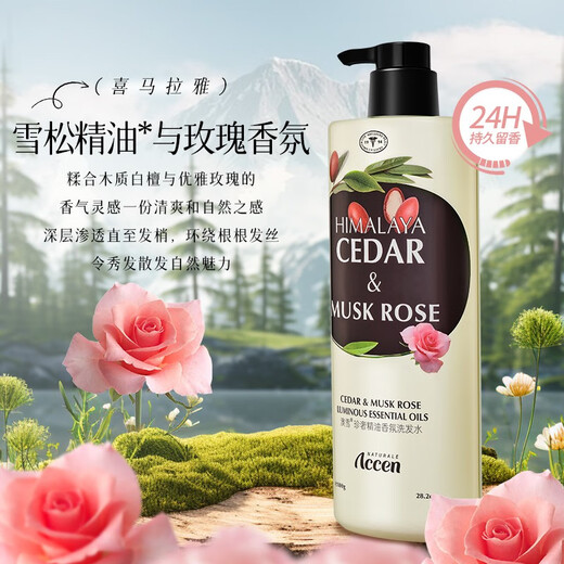 澳雪（accen）珍奢玫瑰精油香氛洗发水800g 控油蓬松柔顺留香