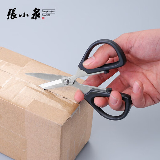 Zhang Xiaoquan Zhang Xiaoquan Schere Haushalt kleine Schere spitze Schere Büro Schreibwaren multifunktionale Edelstahl leistungsstarke Gartenarbeit Blumenkunst SSN-125
