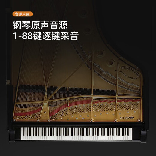 Betsy B351 electric piano 88-key hammer electronic piano for adults and children, home practice for beginners, professional examination piano B350Pro-standard 88-key wood grain brown + round leg bracket