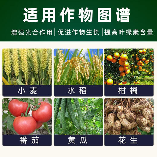 24 epibrassinolide 0.1% rice citrus cucumber wheat photosynthesis-stimulating growth regulator 10ml