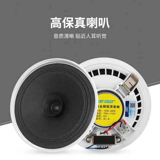 先科（SAST）6英寸吸顶音响套装功放机公共广播系统吊顶家用客厅会议店铺餐厅背景喇叭组合音箱一拖二SA-9010