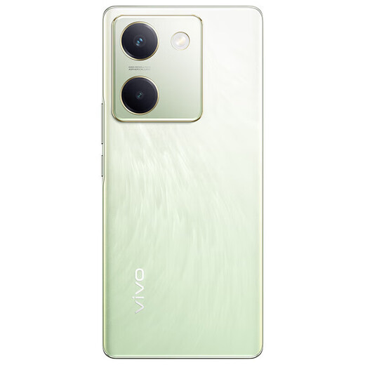vivo Y100 超薄5000mAh电池 6400万OIS光学防抖 44W超快闪充 5G智能拍照手机 琉云青丨Y100（骁龙695） 12GB+256GB