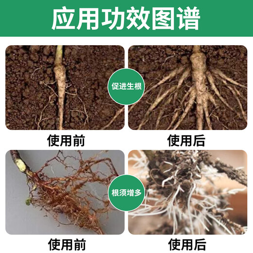 Indolinacetic acid powerful rooting powder, special growth regulator for tree seedlings transplanting and cuttings, Ruibang rooting powder 1000g*1 pack