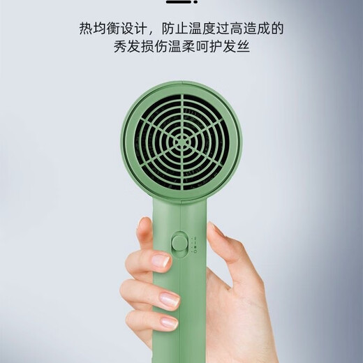 博锐飞科电吹风机家用大功率速干负离子护发冷热风学生宿舍恒温风筒 绿色便携装FH6296 1800W