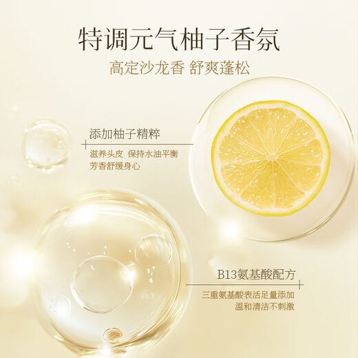 
ASAKA Shampoo Vinaigrette Amino Acid Oil Control Fluffy Shampoo Anti-dandruff Smooth Soft and Glossy Aromatic Shampoo Men and Women Oil Control Fluffy Shampoo 480g [3D Fluffy] [New Upgrade]