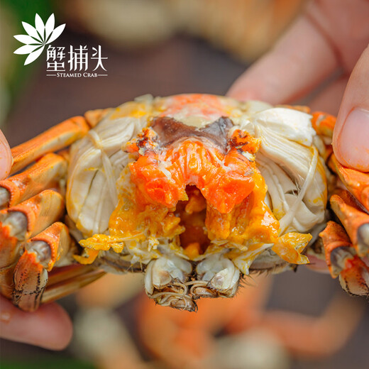 [Certificat-cadeau] Crabe Crab Crab Card Gift Collection Crab Coupon Crab Card Exchange Coupon Pickup Card Hoiley Crab Goiner Type 698 FEMME CRABLE FEMME FEMME 2,0 TOUTQUE PACK 10