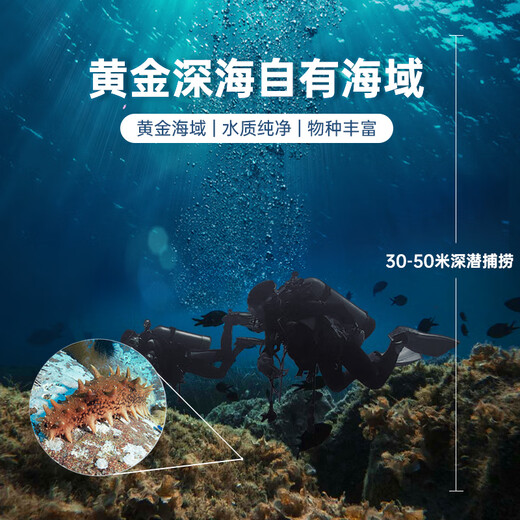 Gong Yi Dalian ready-to-eat sea cucumber 1Jin Jin is equal to 0.5 kg 5-8 pieces, solid content exceeds 80%, fresh sea cucumber processing, no need to soak