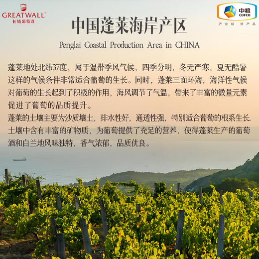 长城白兰地 传统干邑蒸馏法酿造 中粮集团 国产高端洋酒 【岚之丘VSOP】 700mL 6瓶 整箱装