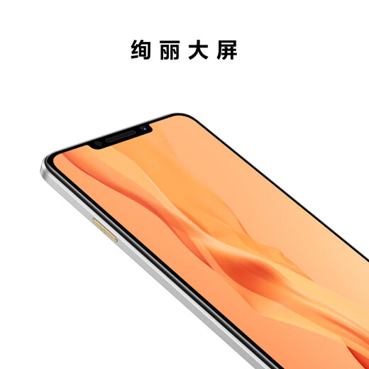 华为畅享 60X 国家补贴 7000mAh长续航 6.95英寸影音大屏 256GB 皓月银 #鸿蒙智能手机WY【赠流量卡】
