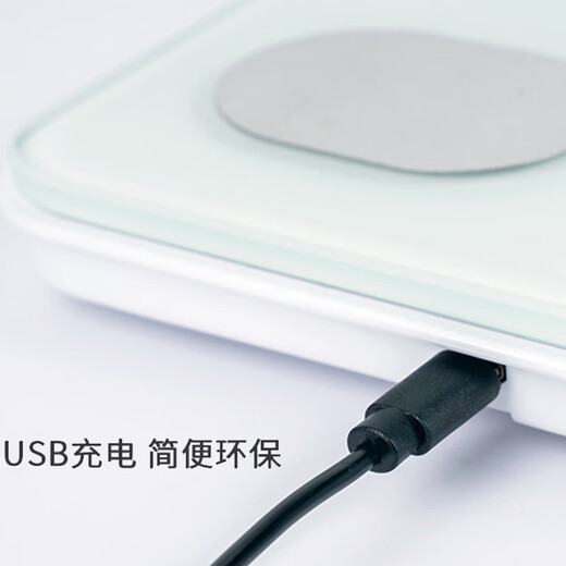 百利达（TANITA） 电子秤家用精准健康智能体重秤体脂秤 高精度测量仪 FS-108四电极体脂秤 白色