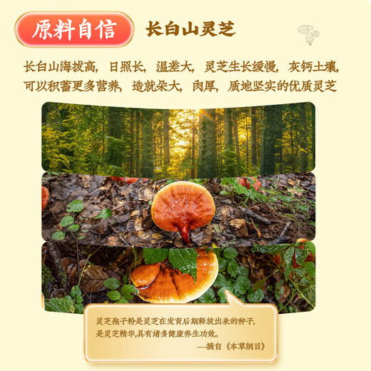 Beijing Tongrentang Ganoderma lucidum spore powder Spore powder Broken wall Ganoderma lucidum spore powder enhances immunity and recovery supplements for middle-aged and elderly people [10g/box*6 boxes]*2 boxes Gifts high-end gifts for people