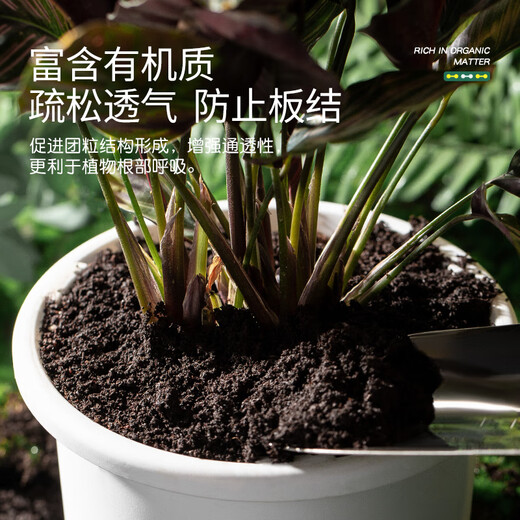 Stanley peat soil nutrient soil for flower cultivation, universal special seedling import, whole package of soil for planting soil, flower soil, 5 Jin Jin is equal to 0.5 kg