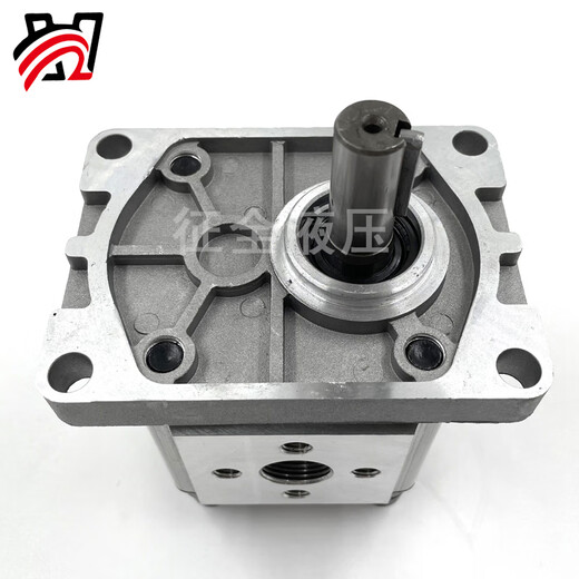 Zhengquan gear pump hydraulic oil pump CBN-E/F 304/6/310/4/6/320/325 small micro high viscosity factory direct sale CBN-E/F306 flat key shaft 24 hours