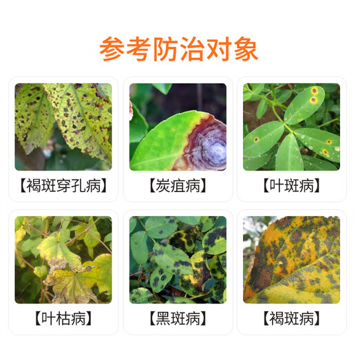 Guoguang Yingna 50% polymanganèse, mancozèbe, carbendazime, fongicide contre les taches noires, fongicide pesticide pour fleurs, fruits et légumes